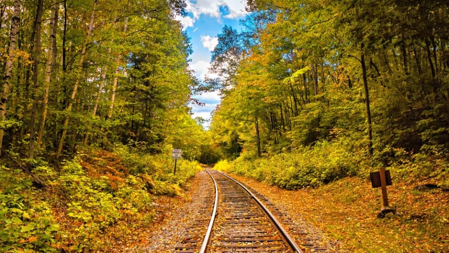 L'autunno a bordo del Treno del Foliage
